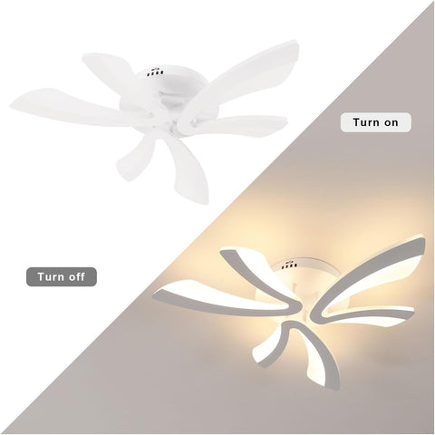 Diagramme de l'effet lumineux du plafonnier