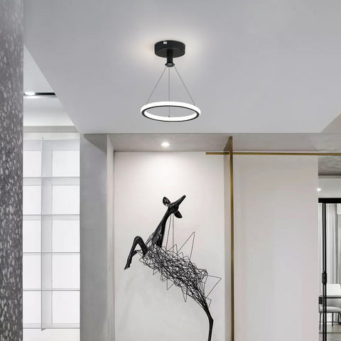 Lampadario moderno a LED ad anello 32W Lampadario moderno a sospensione a LED per tavolo da pranzo Lampadario a LED in acrilico, 220V, 22CM Lampadario a soffitto a LED per soggiorno, sala da pranzo, corridoio, caffetteria, bancone bar, nero 