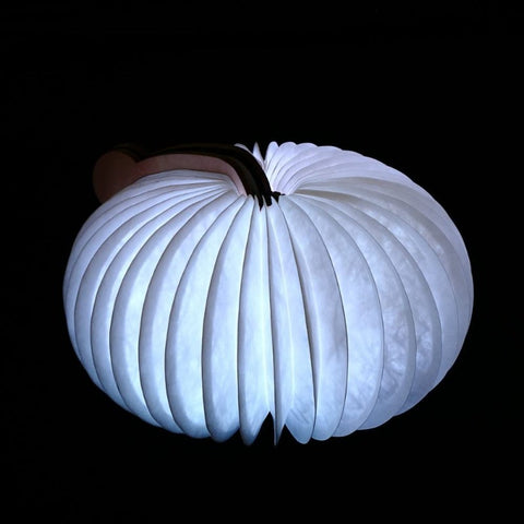 Lampada da libro pieghevole, lampada notturna per bambini, lampada di carta portatile, 7 colori, ricarica USB